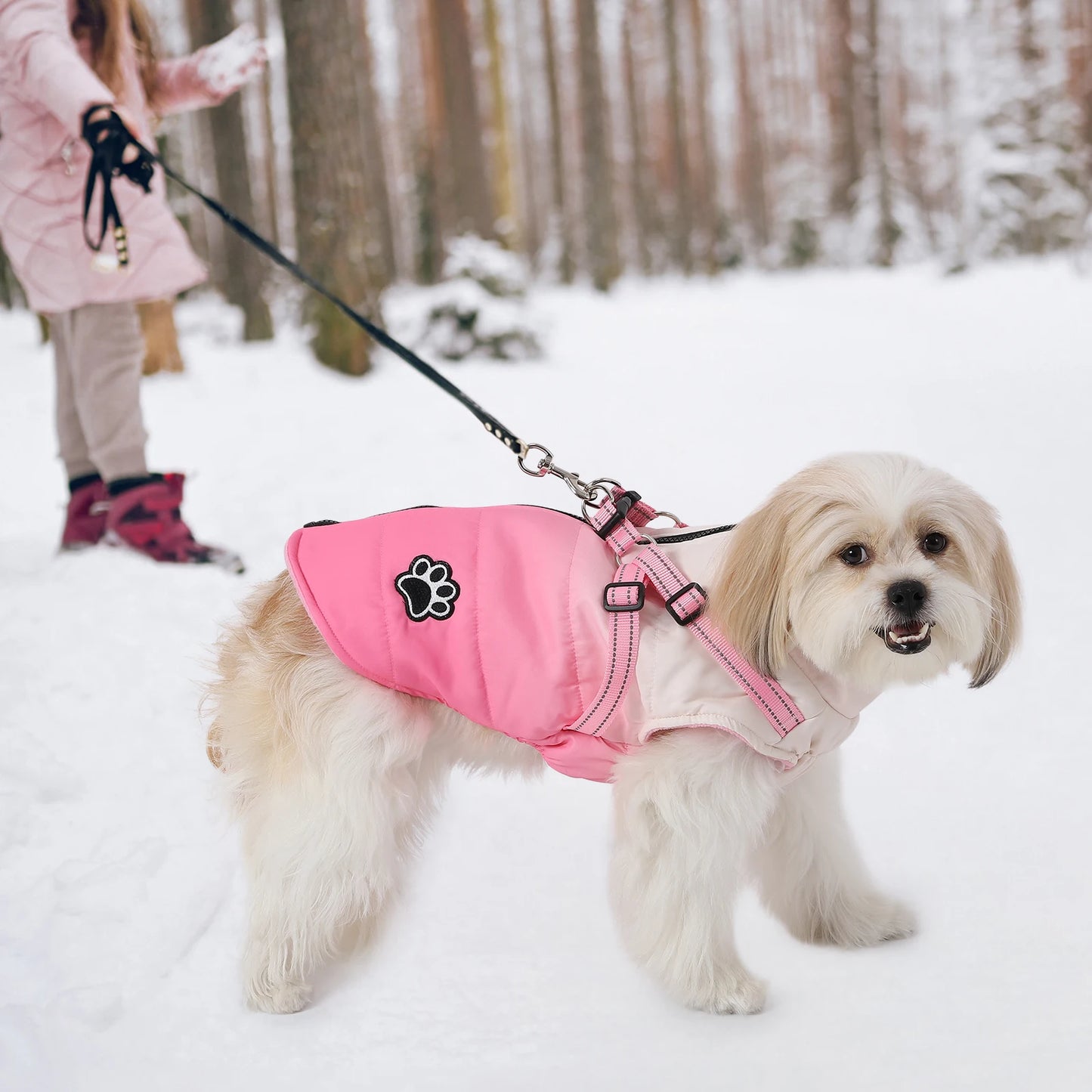 ペット用犬ジャケット ハーネス付き 冬用温かい背面ジッパーコート 小中大型犬用 風防 厚手 反射素材の服