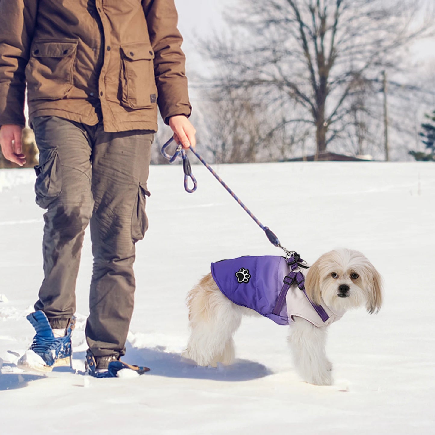 ペット用犬ジャケット ハーネス付き 冬用温かい背面ジッパーコート 小中大型犬用 風防 厚手 反射素材の服