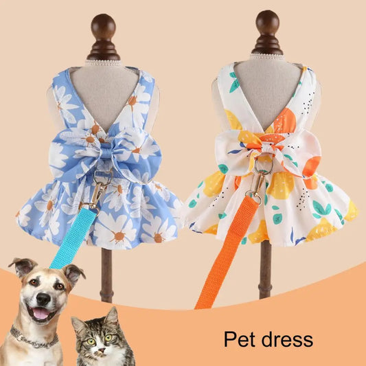 🐶 愛犬・愛猫をもっと可愛く、快適に！この夏のお出かけにぴったりのアイテムで